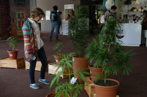 Expocannabis Uruguay