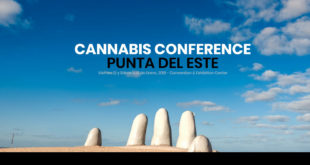 Cannabis conference